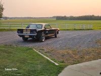 IMG_9022.jpeg
