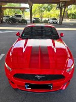 IMG_9081.jpeg