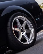 IMG_9179.jpeg