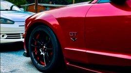 IMG_9195.jpeg