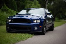 IMG_9186.jpeg