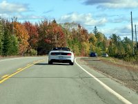 IMG_6449.jpeg