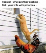 1791934143239.png