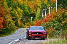 CB-26-Road2500.JPG