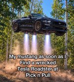 IMG_7845.jpeg