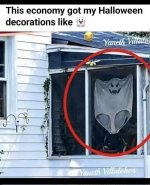 IMG_7877.jpeg