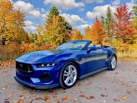 KBStang.jpg