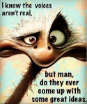 man.png