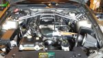 IMG_20160927_120704.jpg