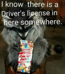 license.png