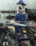 1594218332824.png