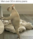 1595454043550.png