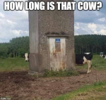 1596655069566.png