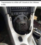 1597151486851.png