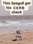 1597958412763.png