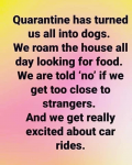 1598820503254.png