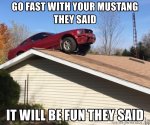 go-fast-with-your-mustang-they-said-it-will-be-fun-they-said.jpg