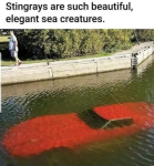 1599767121607.png