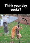 FB_IMG_1598174559874.jpg