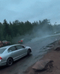 EDEDB224-F802-441E-907B-C3A21783A482.gif