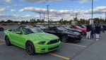 IMG_20200919_164755.jpg