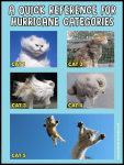 1600818545758.png