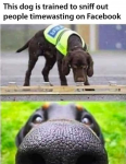 1601111977666.png
