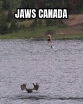 4C822A8F-06E9-4707-AB2F-742F73B63923.jpeg