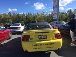 10 02yellowgt.JPG