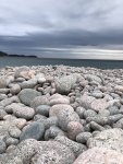 IMG_2600.JPEG