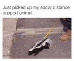 FB_IMG_1603272354730.jpg