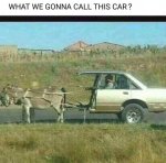 FB_IMG_1603299732529.jpg