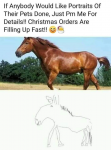 1604516554192.png