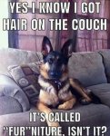 FB_IMG_1604697578856.jpg