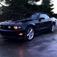 Black on black