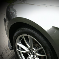Coyote2013