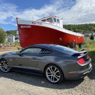 2018Stang