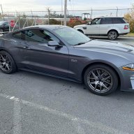 midlifemustang
