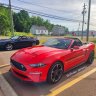 Redbeast2019